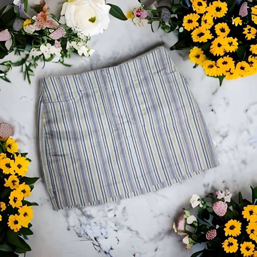 Express stretch striped skirt